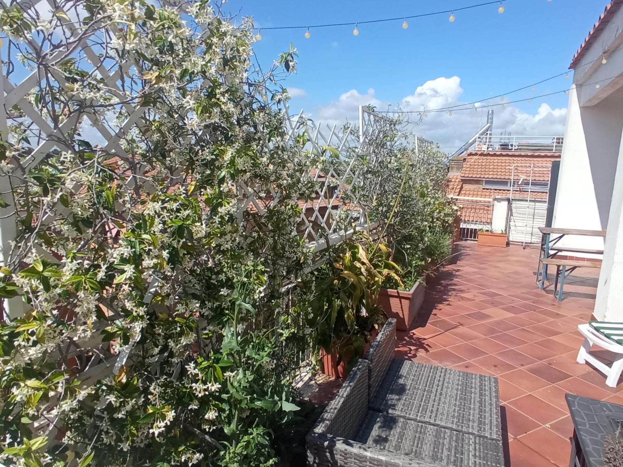 Rooftop Appia Antica,Silenzioso Riservato Two Bedrooms Two Bathrooms Rom Eksteriør billede